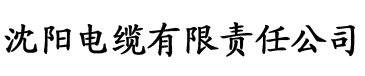 秋霞电影院午夜仑片电缆厂logo